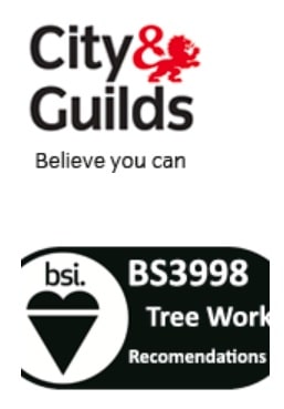 Tree Dismantle Bradford